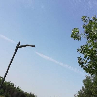 每天阅读一小时！全国青少年学生读书行动五大工程启动实施
